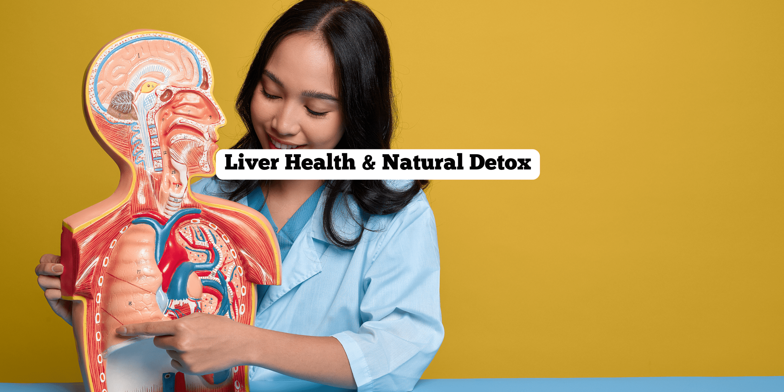 Liver Health & Natural Detox