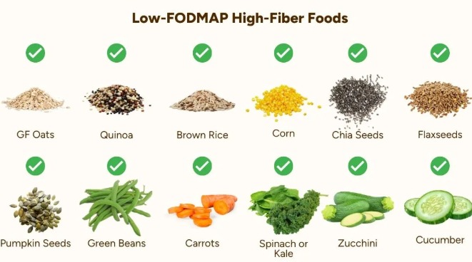 Low FODMAP High Fiber Foods